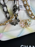 Verified Authentic-Chanel 19 Small/Medium Multi Color  Flap ShoulderBag NWT